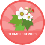 Thimbleberries Badge