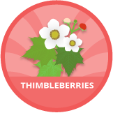 Thimbleberries Badge